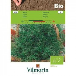 Βιολογικοί Σπόροι Άνηθος Bio 975 VILMORIN
