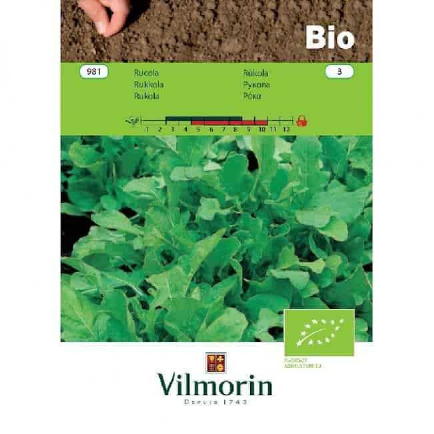 Arugula Bio 981 Organic Seeds VILMORIN