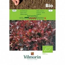 Lettuce Bio Red Salad Bowl 970 Organic Seeds VILMORIN