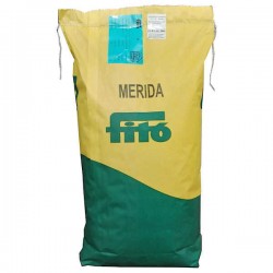Φεστούκας MERIDA 5kg (Festuca Arundinacea Merida) Σπόροι Γκαζόν