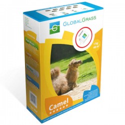 Γκαζόν Ξηρασίας Camel 1kg Μείγμα Σπόρων - Σπόροι Γκαζόν