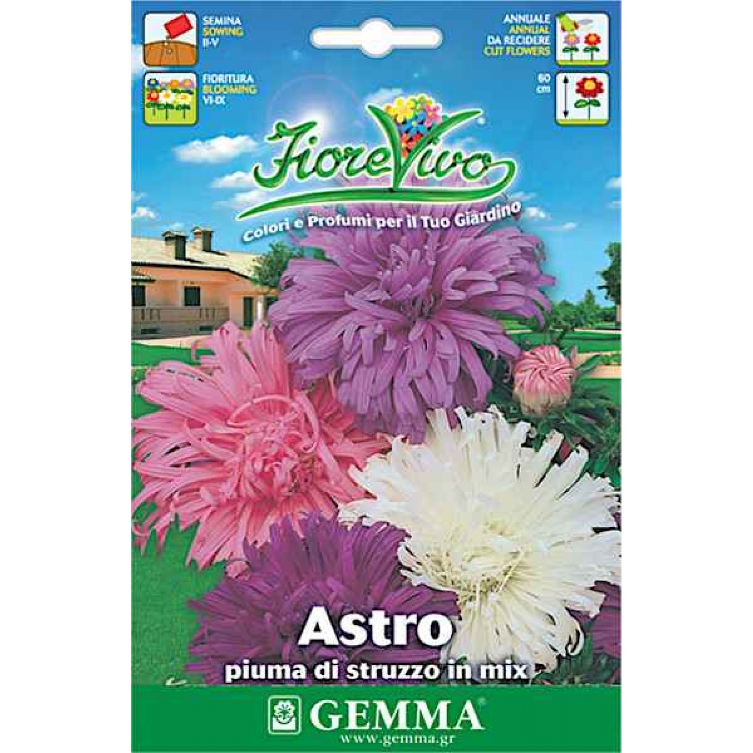 Aster Single Mix 1g Seeds Packet (Aster spp.) - Seed for Asters Aster Single Mix 1g Seeds Packet (Aster spp.)