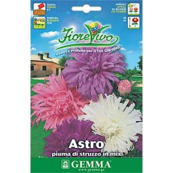 Άστερ ή Αστράκι Απλό Μίγμα 1g Σπόροι Φάκελος-Aster spp.