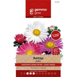 Άστερ Μαργαρίτα Μονή Mix 1g Σπόροι-Callistephus chinensis