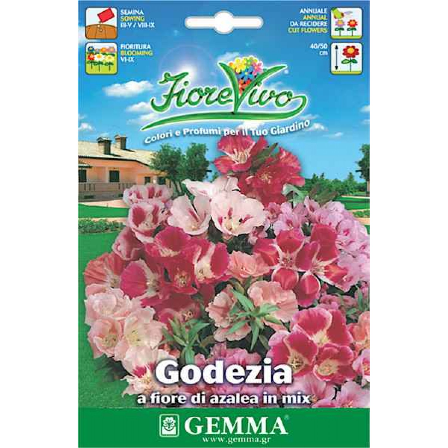Godetia Double Mix 1g Seeds Packet (Godetia grandiflora) - Seed for Godetias Godetia Double Mix 1g Seeds Packet-Godetia grandiflora