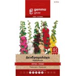 Δενδρομολόχα ή Αλθαία Μίγμα 0,3g Σπόροι (Alcea rosea)