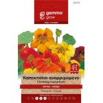 Garden Nasturtium Climbing Mix 2g Seeds Packet (Tropaeolum majus) - Seed for Nasturtiums Garden Nasturtium Vine Mix 2g Seeds (Tropaeolum majus)