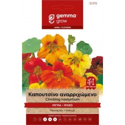 Καπουτσίνο Αναρριχώμενο Μίγμα 2g Σπόροι-Tropaeolum majus
