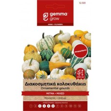Διακοσμητικά Κολοκυθάκια Μίγμα 2g Σπόροι-Cucurbita pepo