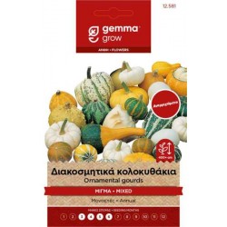 Διακοσμητικά Κολοκυθάκια Μίγμα 2g Σπόροι-Cucurbita pepo