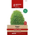 Summer Cypress 1g Seeds Packet (Bassia scoparia f. trichophylla) - Seed for Summer Cypresses Summer Cypress 1g Seeds-Bassia scoparia f. trichophylla