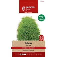 Κόχια Κλασική 1g Σπόροι-Bassia scoparia f. trichophylla