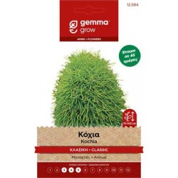 Κόχια Κλασική 1g Σπόροι-Bassia scoparia f. trichophylla