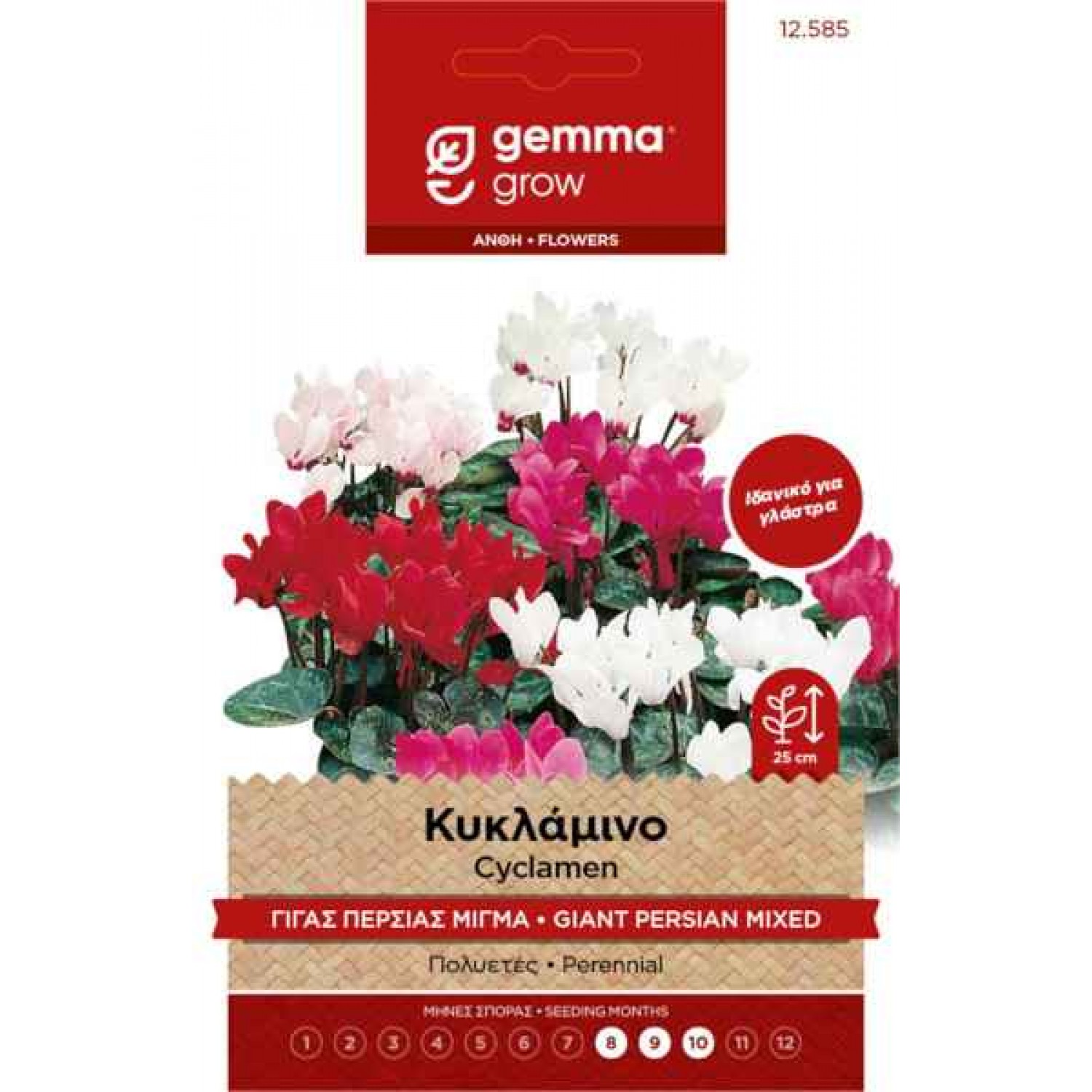 Κυκλάμινο Γίγας Περσίας Μίγμα 1g Σπόροι Φάκελος (Cyclamen persicum) - Σπόρος για Κυκλάμινα Κυκλάμινο Γίγας Περσίας Mix 1g Σπόροι-Cyclamen persicum