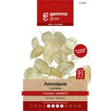 Λουνάρια ή Γυαλάκι 0,3g Σπόροι Φάκελος (Lunaria annua)