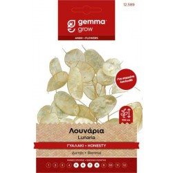 Λουνάρια ή Γυαλάκι 0,3g Σπόροι Φάκελος (Lunaria annua)