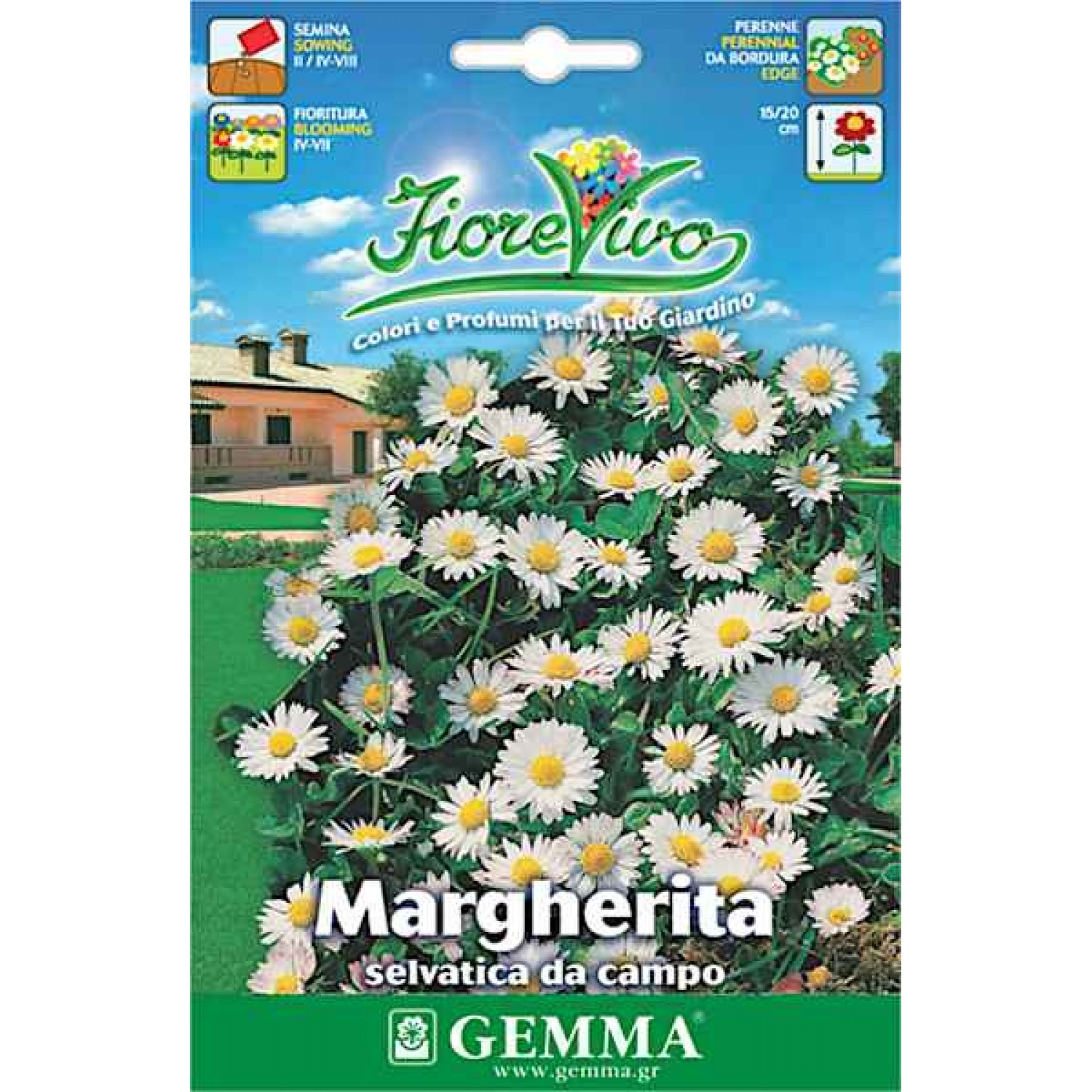 Μαργαρίτα Αγρού 0,2g Σπόροι (Leucanthemum vulgare)