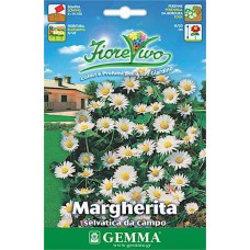 Μαργαρίτα Αγρού 0,2g Σπόροι (Leucanthemum vulgare)