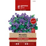 Μενεξές 4 Εποχών 0,2g Σπόροι Φάκελος (Viola odorata)