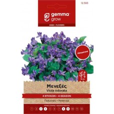 Μενεξές 4 Εποχών 0,2g Σπόροι Φάκελος (Viola odorata)
