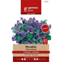 Μενεξές 4 Εποχών 0,2g Σπόροι Φάκελος (Viola odorata)