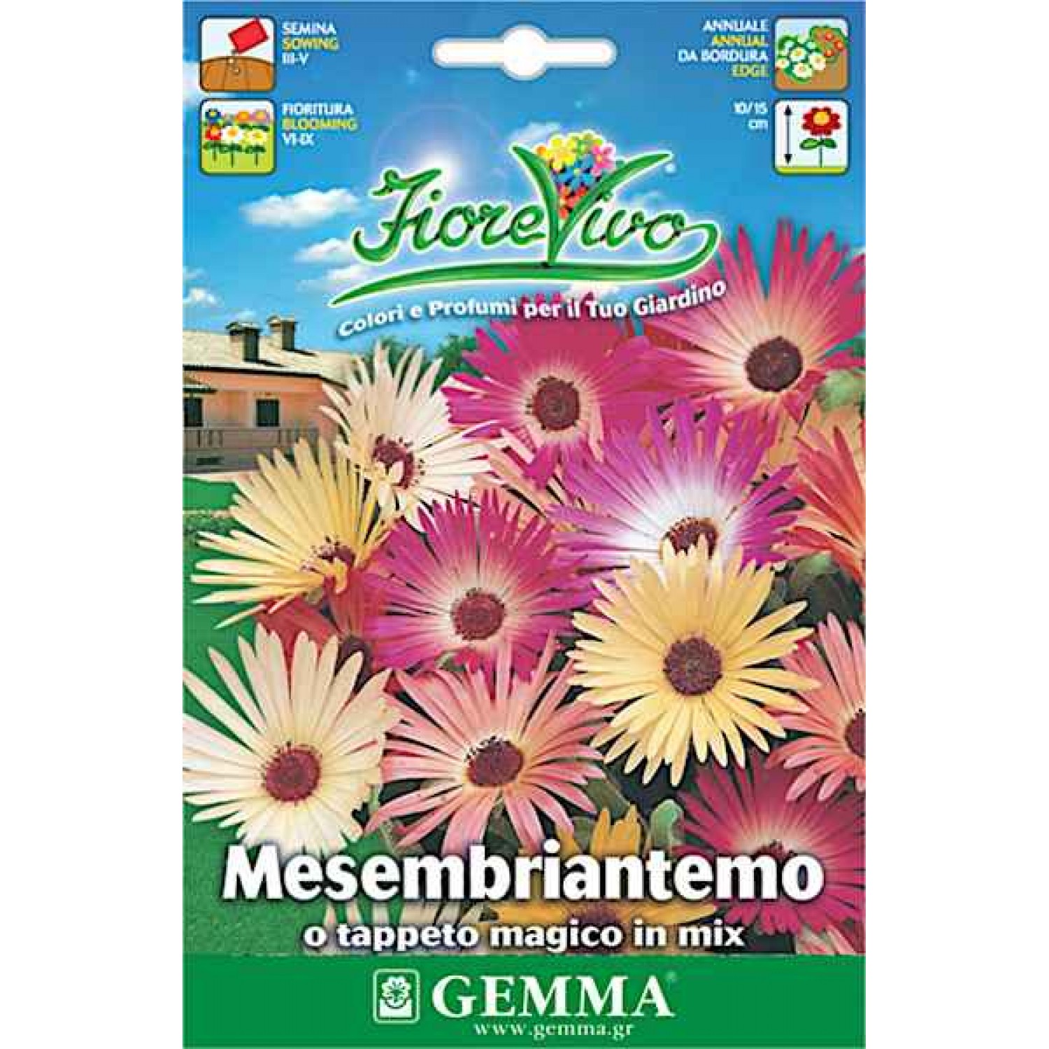 Livingstone Daisy Mixture 0.2g Seeds Packet (Mesembryanthemum criniflorum) - Seed for Daisies Livingstone Daisy 0.2g Seeds-Mesembryanthemum criniflorum