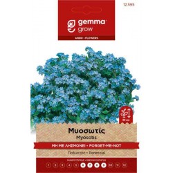 Μυοσωτίς-Μη Με Λησμόνει 0,3g Σπόροι-Myosotis alpestris