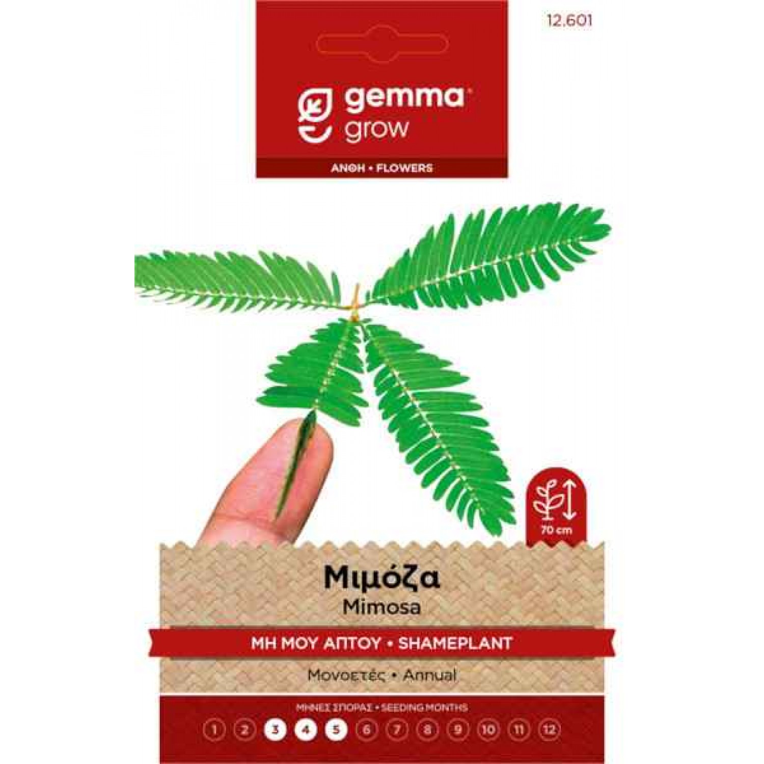 Μιμόζα-Μη Μου Άπτου 1g Σπόροι Φάκελος (Mimosa pudica)