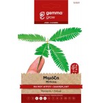 Μιμόζα-Μη Μου Άπτου 1g Σπόροι Φάκελος (Mimosa pudica)