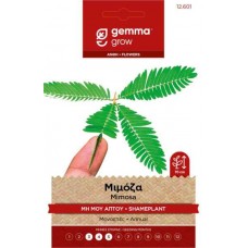 Μιμόζα-Μη Μου Άπτου 1g Σπόροι Φάκελος (Mimosa pudica)