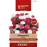 Μαργαρίτα Pompon Διπλή-Μπέλλα 2g Σπόροι-Bellis perennis