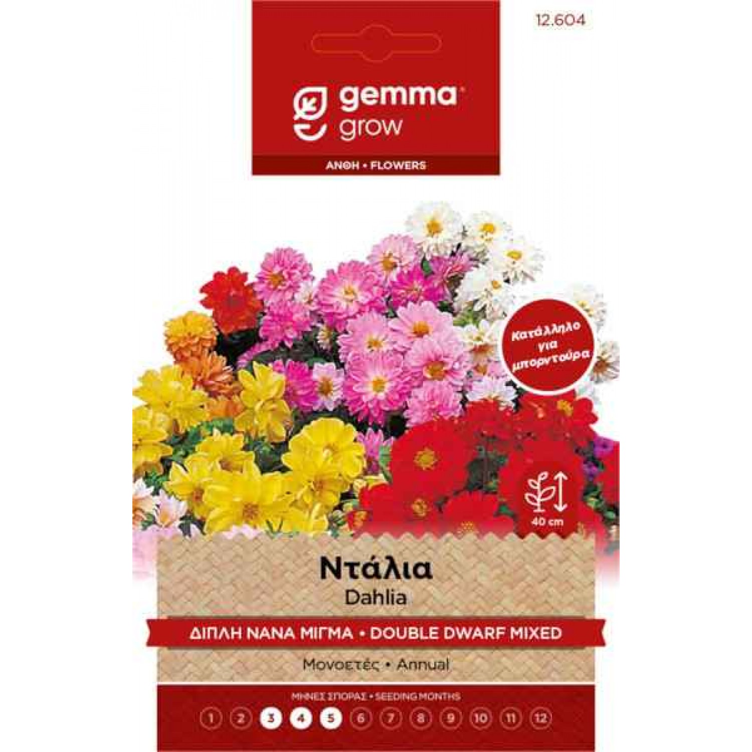 Ντάλια Διπλή Νάνα Μίγμα 0,5g Σπόροι (Dahlia variabilis)