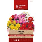 Ντάλια Διπλή Νάνα Μίγμα 0,5g Σπόροι (Dahlia variabilis)