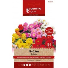 Ντάλια Διπλή Νάνα Μίγμα 0,5g Σπόροι (Dahlia variabilis)