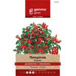 Πιπερίτσα Διακοσμητική 0,2g Σπόροι-Capsicum frutescens