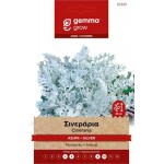 Σινεράρια Ασημί 0,2g Σπόροι Φάκελος (Senecio cineraria) - Σπόρος για Σινεράριες Σινεράρια Ασημί 0,2g Σπόροι Φάκελος (Senecio cineraria)