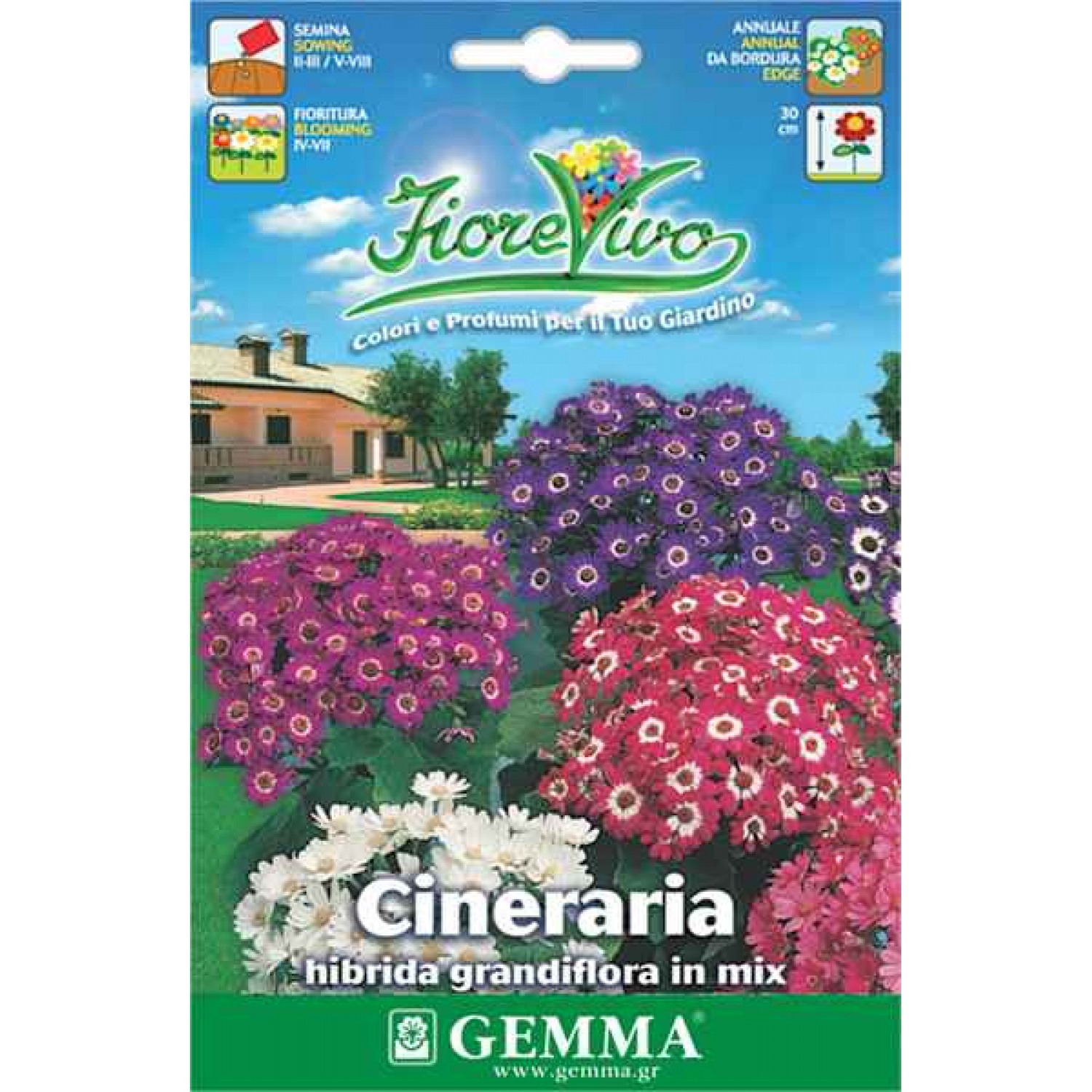 Σινεράρια Υβρίδιο Μίγμα 0,01g Σπόροι (Senecio cruentus)