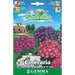 Σινεράρια Υβρίδιο Μίγμα 0,01g Σπόροι (Senecio cruentus)