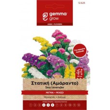 Στατική Μίγμα ή Αμάραντο 0,2g Σπόροι-Limonium sinuatum