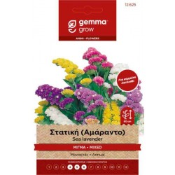 Στατική Μίγμα ή Αμάραντο 0,2g Σπόροι-Limonium sinuatum