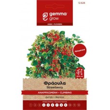 Φράουλα Αναρριχώμενη 0,15g Σπόροι (Fragaria vesca)