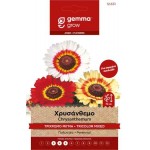 Χρυσάνθεμο Τρίχρωμο 8g Σπόροι (Chrysanthemum carinatum)