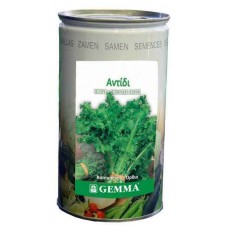 Αντίδι Σκούρο R2521C 0,5kg Σπόροι Κονσέρβα (Cichorium endivia crispum 'Romanesca') - Σπόρος για Αντίδια