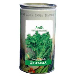 Αντίδι Σκούρο R2521C 0,5kg Σπόροι Κονσέρβα (Cichorium endivia crispum 'Romanesca') - Σπόρος για Αντίδια