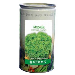 Μαρούλι Λόλα R3391C 0,5kg Σπόροι Κονσέρβα (Lactuca sativa 'Lollo Blonde') - Σπόρος για Μαρούλια