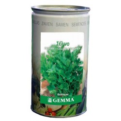 Σέλινο Κλασικό R5761C 0,5kg Σπόροι Κονσέρβα (Apium graveolens) - Σπόρος για Σέλινα