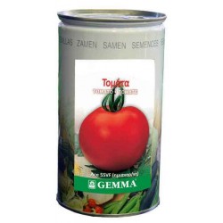 Τομάτα Ace 55 R4721C 0,5kg Σπόροι Κονσέρβα (Lycopersicon esculentum 'Ace 55VF') - Σπόρος για Τομάτες