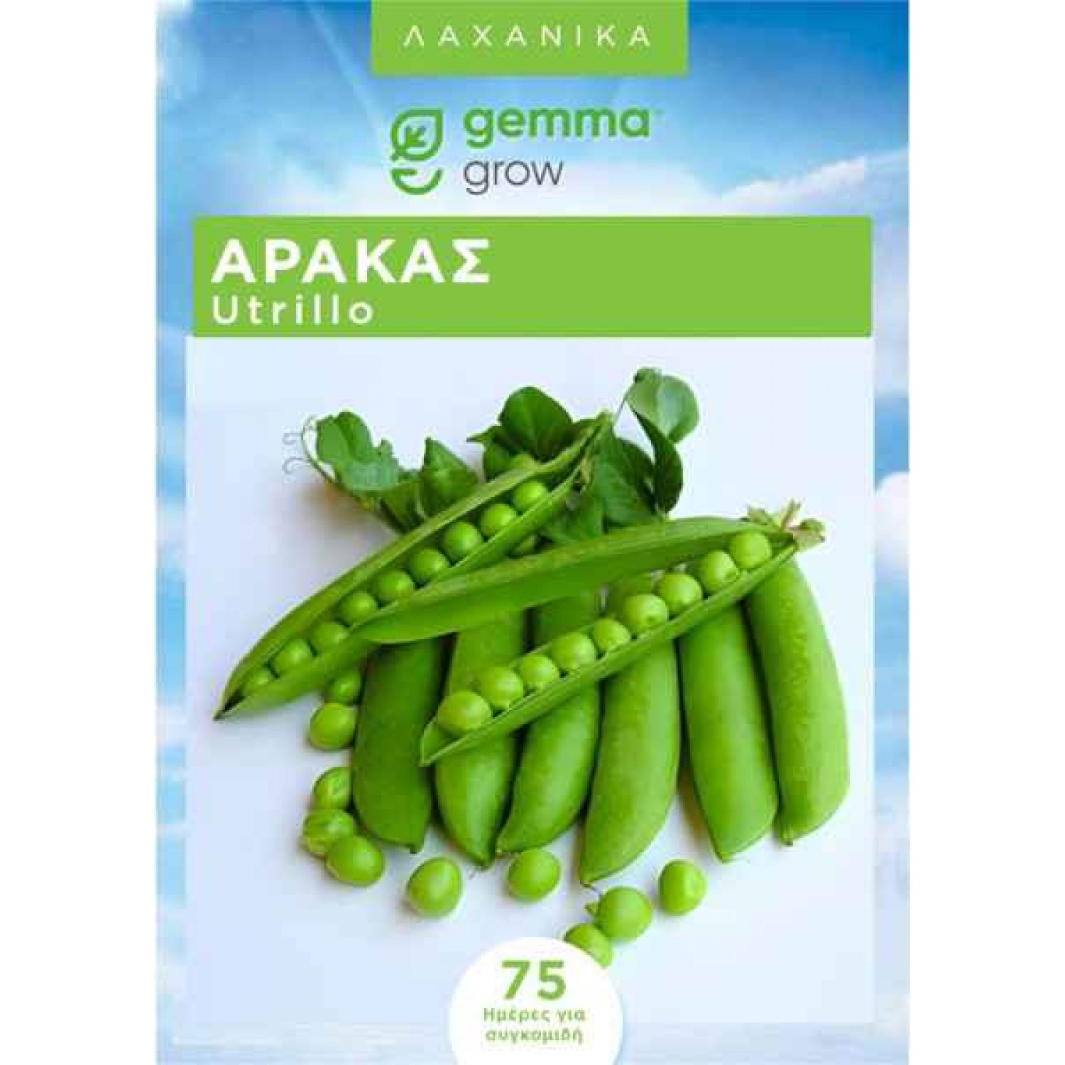 Utrillo Green Peas Seeds 1kg Box (Pisum sativum 'Utrillo') - Seed for Garden Pea Pods