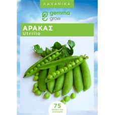Αρακάς Utrillo Σπόροι 1kg Κουτί (Pisum sativum 'Utrillo') - Σπόρος για Αρακά