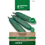 Αγγούρι Μακρύ Αγκαθωτό 1g Σπόροι Φακελάκι (Cucumis sativus 'Vert Long Maraicher') Αγγούρι Cucumis sativus Vert Long Maraicher 1g Σπόροι